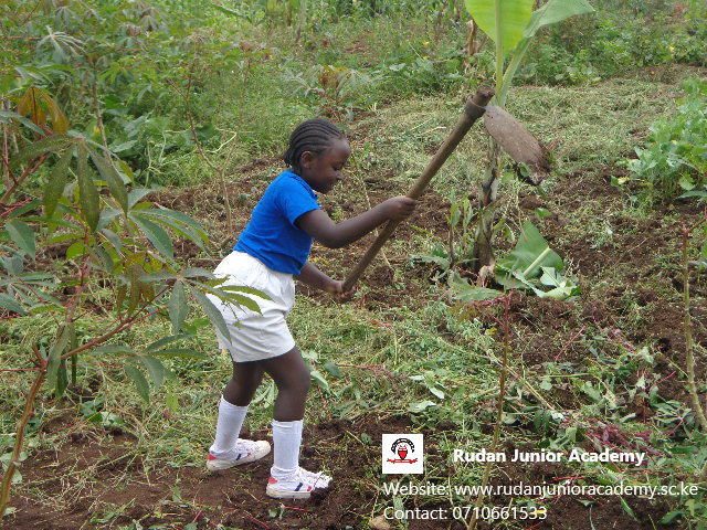 Kessey Chamwada, Farming