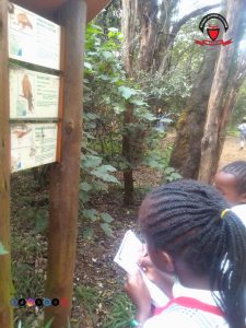 School Trip To The National Park