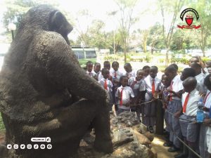 School Trip To The National Park